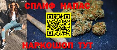 jwh Кингисепп