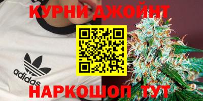 jwh Кингисепп