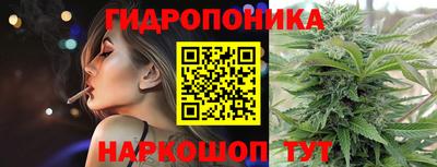 jwh Кингисепп
