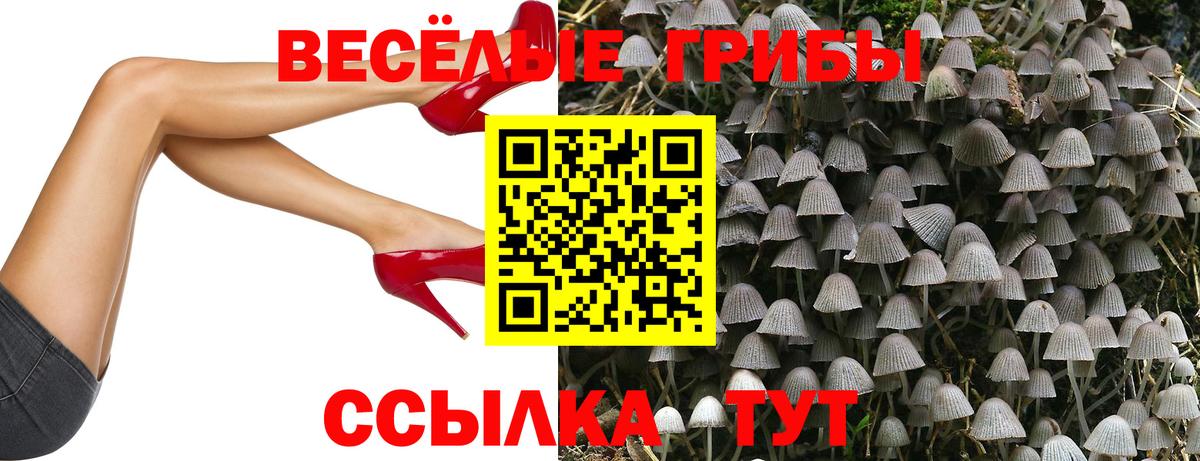 Псилоцибиновые грибы Psilocybine cubensis  Псилоцибиновые грибы прущие грибы  Шахты  Вход с VPN 