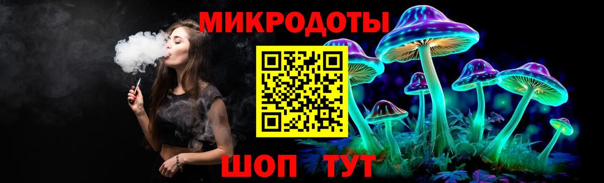 Галлюциногенные грибы Psilocybe Шахты